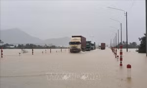 Gia Lai bố trí hơn 2.675 tỷ đồng tăng cường hệ thống tiêu thoát lũ hạ du sông Hà Thanh