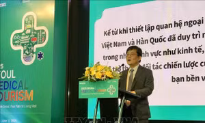 Kết nối doanh nghiệp du lịch y tế Thành phố Hồ Chí Minh và Seoul, Hàn Quốc