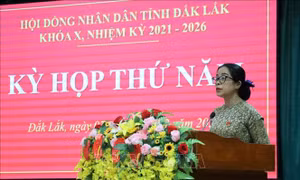 Đắk Lắk: Điều hành mạnh mẽ, siết chặt kỷ luật, kỷ cương công vụ