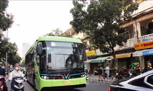 TP Hồ Chí Minh xây dựng lộ trình chuyển đổi xanh lĩnh vực giao thông vận tải