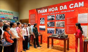 Giới thiệu hơn 400 tư liệu, hiện vật tại Triển lãm 'Da cam - Lương tri và Công lý' 