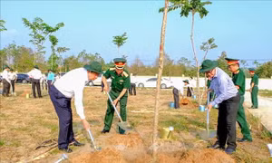 Cần Thơ yêu cầu rà soát, cung cấp thông tin các dự án trồng, chăm sóc cây xanh