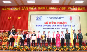 Đào tạo nguồn nhân lực chất lượng cao cho khu vực Đồng bằng sông Cửu Long