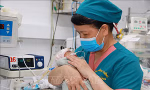 Giữ nhịp thở cho những trẻ sinh non