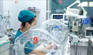 Ngày Thế giới vì trẻ sinh non (17/11): Khởi đầu vững chắc, tương lai tươi sáng