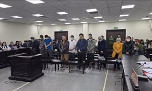 Hoãn phiên tòa phúc thẩm vụ cựu Viện trưởng Viện Y dược học dân tộc TP Hồ Chí Minh