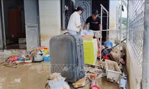 Khánh Hòa: Nỗ lực ổn định sau cơn lụt lịch sử
