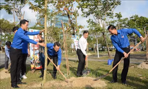 Đà Nẵng phát động phong trào bảo vệ môi trường và Tết trồng cây