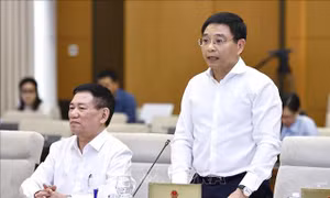 Chính sách áp dụng tại Trung tâm tài chính quốc tế không rập khuôn, có chọn lọc