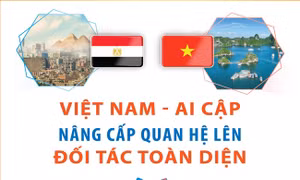 Việt Nam - Ai Cập nâng cấp quan hệ lên Đối tác Toàn diện