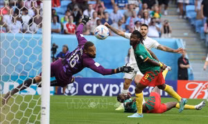 WORLD CUP 2022: BẢNG G - Serbia 'đánh rơi' chiến thắng trước Cameroon