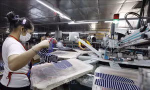 Bộ Kế hoạch và Đầu tư xây dựng 2 kịch bản tăng trưởng GDP 6 tháng cuối năm