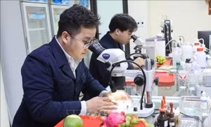 Giữ nhịp thông suốt xuất nhập khẩu nông sản