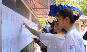 Các trường THPT công lập tại Hưng Yên tuyển được 90% chỉ tiêu vào lớp 10 trong đợt một