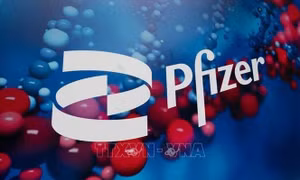 Thuốc kháng virus dạng viên của Pfizer có thể giảm đáng kể nguy cơ tử vong
