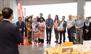 'Ngày hàng Việt Nam' đưa vải thiều Bắc Giang đến gần hơn với người tiêu dùng Đức
