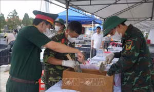 Nối dài hành trình tìm lại tên cho các anh hùng liệt sĩ - Bài 2: Những người đi tìm tên cho đồng đội