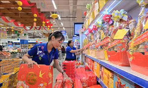 Hơn 1.380 tỷ đồng chuẩn bị hàng hóa phục vụ Tết