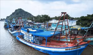 Kiên Giang đầu tư 95 tỷ đồng nâng cấp cầu cảng cá
