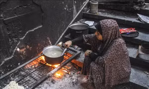 Tổng giám đốc WHO cảnh báo nguy cơ bùng phát dịch bệnh bại liệt ở Dải Gaza