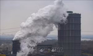 Tổ chức vận hành thí điểm sàn giao dịch tín chỉ carbon kể từ năm 2025