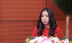 Dữ liệu là gốc của tòa soạn hiện đại