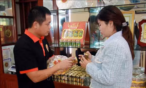 Gọi chim yến về làm tổ, thanh niên Nam Định thành tỷ phú