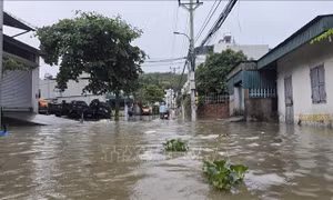 Tám tỉnh, thành phố phía Bắc chủ động ứng phó với lũ