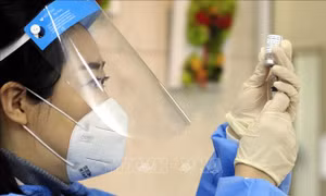 Hàn Quốc và EU cam kết trao đổi công nghệ vaccine 