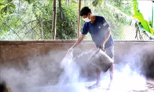 Kế hoạch quốc gia phòng, chống các bệnh Cúm gia cầm, Lở mồm long móng và Dịch tả lợn Châu Phi