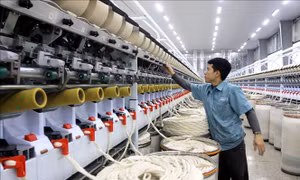 Kế hoạch hành động của Chính phủ về phát triển kinh tế tư nhân