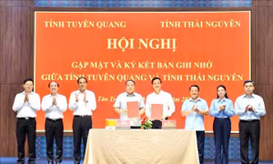 Tuyên Quang - Thái Nguyên: Chung mạch nguồn, cùng khát vọng