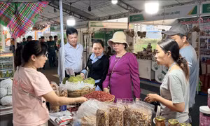 Khai mạc Hội chợ nông nghiệp, nông sản xanh Đồng bằng sông Cửu Long 