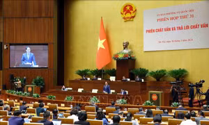Mở rộng miễn thị thực góp phần thu hút khách quốc tế đến Việt Nam
