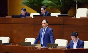 Kịp thời cảnh báo nguy cơ của chiêu bài 'việc nhẹ lương cao' 