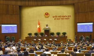 Thông qua Nghị quyết về kế hoạch phát triển kinh tế - xã hội 5 năm 2026 - 2030