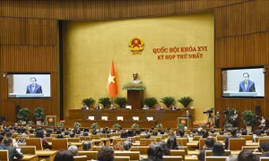 Bế mạc Kỳ họp thứ Nhất, Quốc hội khóa XVI: Tạo khí thế, niềm tin và động lực mới cho cả nhiệm kỳ