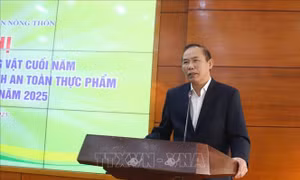 Xử lý nghiêm việc mua bán, vận chuyển động vật bệnh, nhập lậu