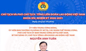 Danh sách Chủ tịch và Phó Chủ tịch Tổng Liên đoàn Lao động Việt Nam khóa XIV, nhiệm kỳ 2026-2031
