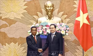 Chủ tịch Quốc hội Trần Thanh Mẫn tiếp Phó Chủ tịch Quốc hội Lào