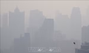 Người dân Thái Lan không hài lòng về hiệu quả xử lý bụi mịn