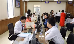Thủ tướng chỉ đạo triển khai Nghị quyết của Quốc hội về xử lý một số vấn đề liên quan đến sắp xếp tổ chức bộ máy
