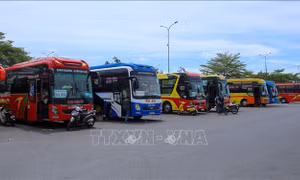 Hải Phòng cho hoạt động trở lại vận tải hành khách, bến phà, bến đò