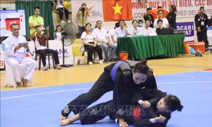 Việt Nam bảo vệ thành công ngôi vô địch Giải Pencak Silat châu Á 2026