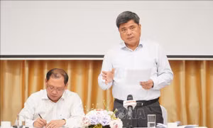 Gỡ vướng dự án hỗ trợ hạ tầng, kỹ thuật cho lúa chất lượng cao Đồng bằng sông Cửu Long