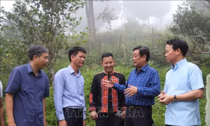 Yên Bái phát triển bền vững theo hướng 'xanh, hài hòa, bản sắc và hạnh phúc'