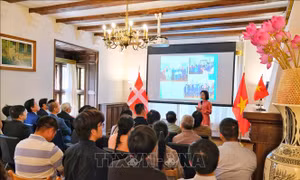 Cộng đồng Việt Nam tại Đan Mạch luôn hướng về quê hương