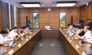 Phát huy tối đa vai trò của chủ sở hữu trong công tác bảo tồn, phát huy giá trị di sản văn hóa