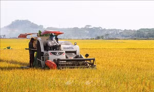 Truyền thông nước ngoài: Việt Nam nâng cao mức độ cơ giới hóa trong nông nghiệp