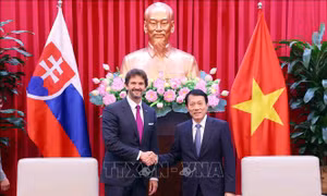Thúc đẩy hợp tác công nghiệp - an ninh giữa Bộ Công an Việt Nam và Slovakia